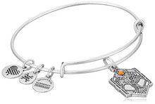 Load image into Gallery viewer, Alex and Ani Tree of Life IV Rafaelian Silver Bangle Bracelet