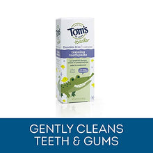 Load image into Gallery viewer, Tom's of Maine Fluoride-Free Toddler Training Toothpaste, Mild Fruit, 1.75 oz. 3-Pack