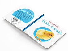 Load image into Gallery viewer, My First Library : Boxset of 10 Board Books for Kids