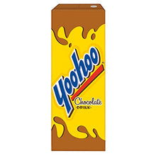 Load image into Gallery viewer, Yoo Hoo Chocolate Drink, 10-Pk