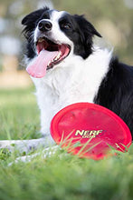 Load image into Gallery viewer, Nerf Dog Nylon Flyer Dog Toy, Frisbee, Lightweight, Durable and Water Resistant, Great for Beach and Pool, 9 inch diameter, for Medium/Large Breeds, Single Unit, Red