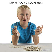 Load image into Gallery viewer, NATIONAL GEOGRAPHIC Mega Fossil and Gemstone Dig Kits - Excavate 10 Real Fossils and 10 Real Gems, Great STEM Science Gift for Mineralogy and Geology Enthusiasts of Any Age