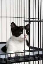 Load image into Gallery viewer, Prevue Pet Products Replacement Platform Shelf for 7500 & 7501 cat Cages