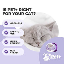 Load image into Gallery viewer, PETPLUS Cat Calming Collar for Cats | Purrfect to Reduce Your Pet’s Anxiety or Aggression | Pheromones for Cats & Cat Anxiety Relief | Cat Calming Products for Kittens | 2-Month Protection, 1 Collar