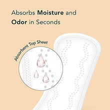 Load image into Gallery viewer, Rael Period Bundle - BPA-Free Plastic Applicator Tampon (Regular & Super, 32 Count) & Organic Cotton Cover Regular Liners (40 Count)