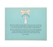Load image into Gallery viewer, Pat the Bunny Book & Plush (Touch-and-Feel)