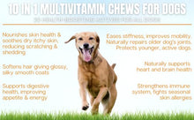 Load image into Gallery viewer, 10 in 1 Multivitamin Chew Treats for Dogs. 20 Healthy Actives: Glucosamine, Chondroitin & Turmeric for Joint Support, Omega Fish Oil for Skin, Pumpkin & Cranberry for Gut & Immune Health.120ct