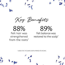 Load image into Gallery viewer, Rene Furterer COMPLEXE 5 Stimulating Plant Concentrate, Pre-Shampoo Detox Scalp Treatment, 1.6 oz.