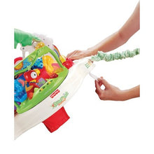 Load image into Gallery viewer, Fisher-Price Rainforest Jumperoo