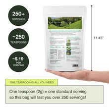 Load image into Gallery viewer, Encha Ceremonial and Culinary Grade Matcha Green Tea - First Harvest Organic Japanese Matcha Green Tea Powder, From Uji, Japan (Organic Culinary, 1 Pound (Pack of 1))