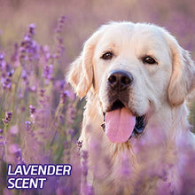 Load image into Gallery viewer, Hartz Home Protection Odor Eliminating Scented Dog Pads, Super Absorbent & Won’t Leak, Lavender Scent, 3XL Size Pads, 60 Count