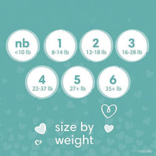 Load image into Gallery viewer, Diapers Size Newborn/Size 0 (< 10 lb), 104 Count - Pampers Baby Dry Disposable Baby Diapers, Super Pack