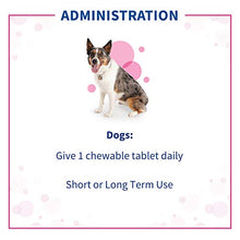 Load image into Gallery viewer, NEW! Proviable® Chewable Tablets For Dogs