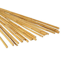 Load image into Gallery viewer, Hydrofarm HGBB4 4' Natural, pack of 25 Bamboo Stake, Tan