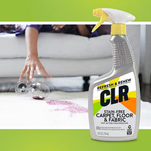 Load image into Gallery viewer, CLR Stain-Free Carpet, Floor & Fabric, Fast-Acting Stain Remover, 26 Ounce
