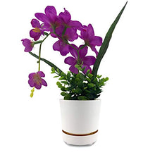 Load image into Gallery viewer, 6" Self Watering + Self Aerating High Drainage Deep Reservoir Round Planter Pot Maintains Healthy Roots for Indoor & Outdoor & Windowsill Gardens (White)