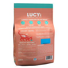 Load image into Gallery viewer, Lucy Pet Products Formulas for Life - Sensitive Stomach & Skin Dry Cat Food, All Breeds & Life Stages - Salmon, Pumpkin, & Quinoa, 4 LB Bag