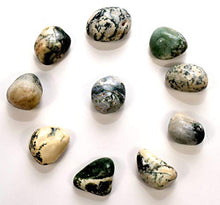 Load image into Gallery viewer, White & Green Chalcedony Agate Gemstone Pebbles Polished Natural Multicolor Crystal Mineral Tumbled Stone Cabochon Specimen Cabs - India (5PCS)