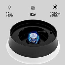 Load image into Gallery viewer, BULBEATS LED Floor Lamp with Replaced E26 Bulb Opreated by Pull Chain 4000K 12W Floor Lamps for Bedroom/Living Room, Office