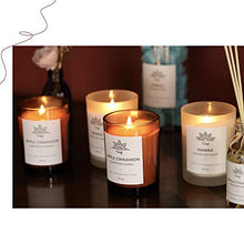 Load image into Gallery viewer, Scented Soy Aromatherapy Candle for Home Scented, 45 Hour Burn Time, Made with Soy Wax, Apple Cinnamon, 8.4 oz, 2 Count