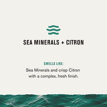 Load image into Gallery viewer, Every Man Jack Men’s Sea Minerals + Citron Antiperspirant Deodorant - Stay Fresh with Antiperspirant Men’s Deodorant - Odor Crushing, Long Lasting, Plant-Based, and No Harsh Chemicals - 2.6 oz - 2 Pack