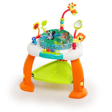 Load image into Gallery viewer, Bright Starts Bounce Bounce Baby
