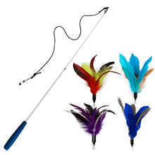 Load image into Gallery viewer, EcoCity Cat Toys - Cat Teaser Toys - Include Cat Wand and Natural Feather Refills (5 Pack)