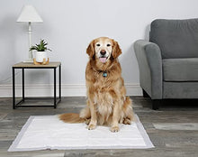 Load image into Gallery viewer, Hartz Home Protection Odor Eliminating Scented Dog Pads, Super Absorbent & Won’t Leak, Lavender Scent, 3XL Size Pads, 60 Count