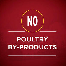 Load image into Gallery viewer, Purina ONE Grain Free, Natural Pate Wet Dog Food, SmartBlend True Instinct With Real Turkey & Venison - (12) 13 oz. Cans