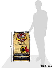 Load image into Gallery viewer, Meadow Ridge Farms Black Oil Sunflower Bird Seed, 20-Pound Bag