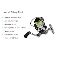 Load image into Gallery viewer, Lixada Pen Fishing Rod Reel Combo Set Premium Mini Pocket Collapsible Fishing Pole Kit Telescopic Fishing Rod + Spinning Reel Combo Kit 1M / 1.4M / 1.8M / 2.1M