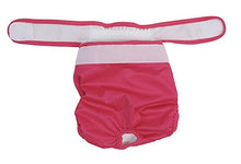 Load image into Gallery viewer, Pet Parents Washable Dog Diapers (3pack) of Doggie Diapers, Color: Princess, XSmall Dog Diapers