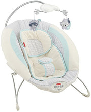 Load image into Gallery viewer, Fisher-Price Moonlight Meadow Deluxe Bouncer