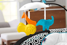 Load image into Gallery viewer, Fisher-Price Deluxe Bouncer