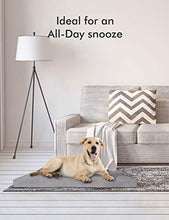 Load image into Gallery viewer, PETLIBRO Dog Bed for Crate, Memory Foam Dog Crate Bed 41” x 29” Large Dog Bed Orthopedic Plush Mattress for Therapeutic Joint&Muscle Relief Removable&Washable Bed Cover with Waterproof Inner Lining