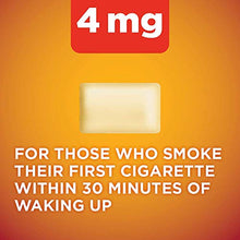 Load image into Gallery viewer, Amazon Basic Care Nicotine Polacrilex Coated Gum 4 mg (nicotine), Cinnamon Flavor, Stop Smoking Aid; quit smoking with nicotine gum, 160 Count