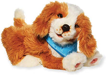 Load image into Gallery viewer, JOY FOR ALL - Freckled Pup - Brown and White Soft-Touch Coat - Realistic and Lifelike Interactive Companion Pets
