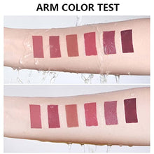 Load image into Gallery viewer, DAGEDA 6Pcs Wine Lip Tint, Matte Lipstick Lip Stain Set Long Lasting Waterproof Lip Stain Set, 6 Colors Velvety Liquid Wine Bottle Lip Gloss, Non-stick Cup Lip Makeup Gift Kit for Girls Women(B Set