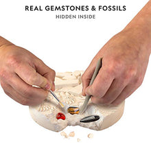 Load image into Gallery viewer, NATIONAL GEOGRAPHIC Mega Fossil and Gemstone Dig Kits - Excavate 10 Real Fossils and 10 Real Gems, Great STEM Science Gift for Mineralogy and Geology Enthusiasts of Any Age