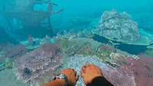 Load image into Gallery viewer, Stranded Deep
