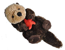 Load image into Gallery viewer, Wild Republic Sea Otter Stuffed Animal, Plush Toy, Gifts for Kids, Cuddlekins 12", Multicolor