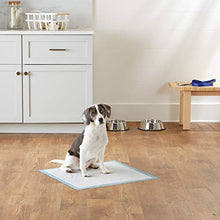 Load image into Gallery viewer, AmazonBasics Dog and Puppy Pee, Potty Training Pads, Regular (24 x 23 Inches) - Pack of 80