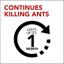 Load image into Gallery viewer, Raid Ant Gel 1.06 Oz