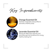 Load image into Gallery viewer, Rene Furterer COMPLEXE 5 Stimulating Plant Concentrate, Pre-Shampoo Detox Scalp Treatment, 1.6 oz.