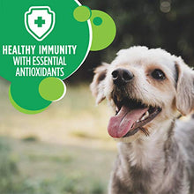 Load image into Gallery viewer, IAMS Small & Toy Breed Adult Dry Dog Food for Small Dogs with Real Chicken, 15 lb. Bag
