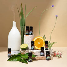 Load image into Gallery viewer, Cliganic Organic Essential Oils Set (Top 5) - 100% Pure Natural - Aromatherapy, Candle Making - Peppermint, Lavender, Eucalyptus, Lemongrass & Orange