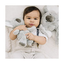 Load image into Gallery viewer, GUND Baby Toothpick Koala Plush Stuffed Animal 12", Gray