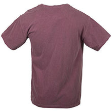 Load image into Gallery viewer, Comfort Colors Men's Adult Short Sleeve Tee, Style 1717 (X-Large, Khaki)