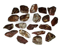 Load image into Gallery viewer, 1pc Amphibole w/Lithium Medium/Large AAA-Grade Hand Polished Phantom Angel Quartz Natural Healing Crystal Gemstone Specimen from Brazil