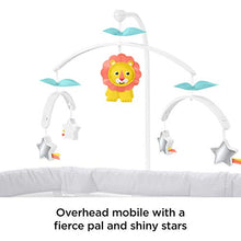 Load image into Gallery viewer, Fisher-Price Soothing Motions Bassinet, Windmill